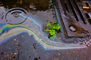 chemicals in sewage