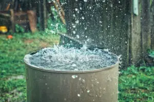 rainwater harvesting 
