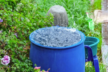 rainwater filtration systems